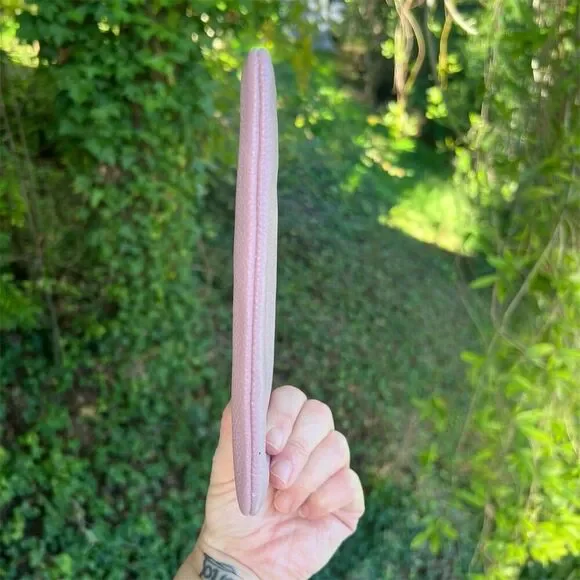 COACH Women's Pebble Leather Wristlet Wallet in Purple Ice w Silver Hardware NWT - Picture 6 of 11